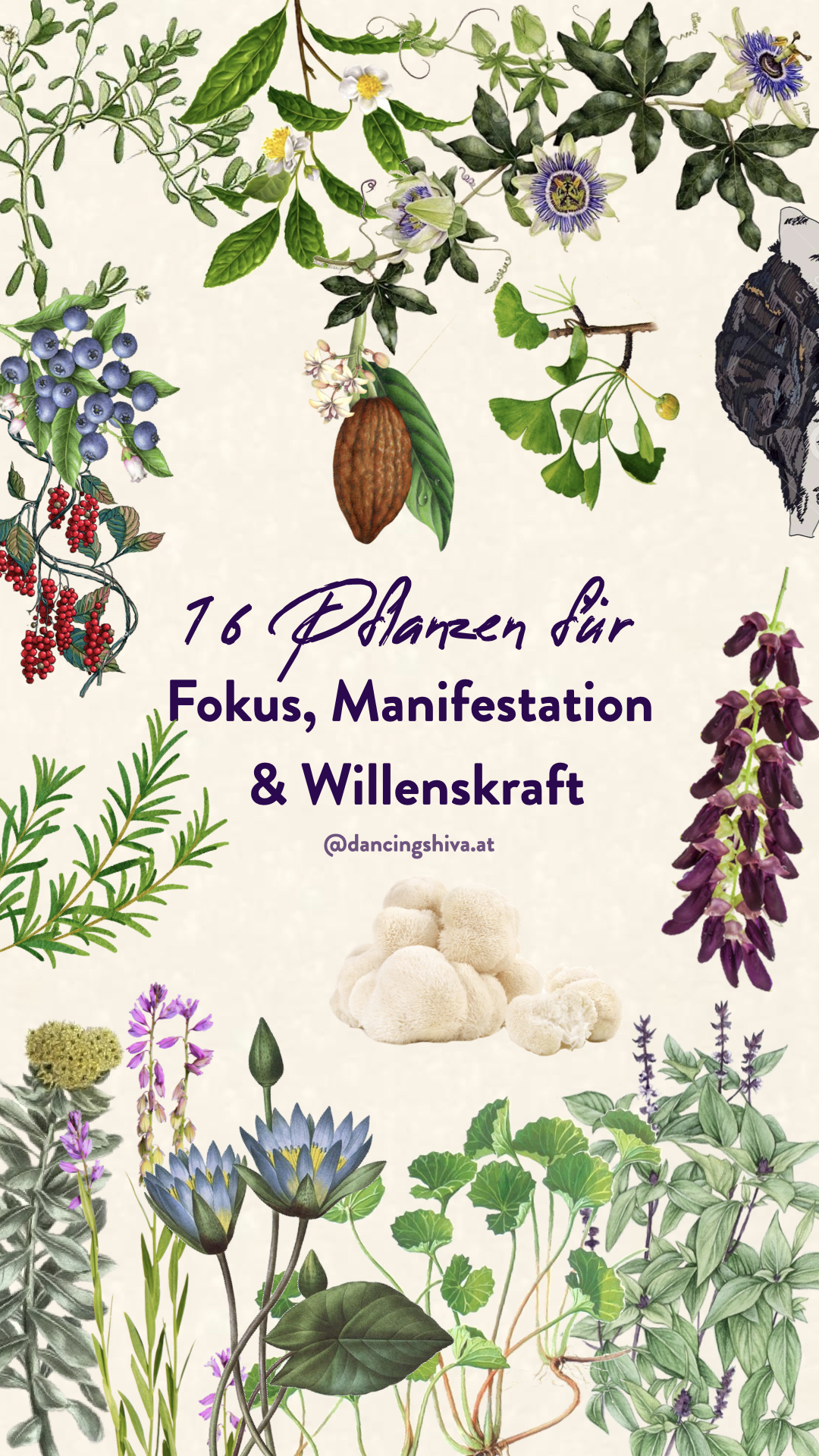 16 Pflanzen für Fokus, Manifestation und Willenskraft - Dancing Shiva Vienna Pflanzenkraftwerk